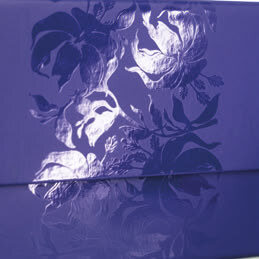 Grafica esterna